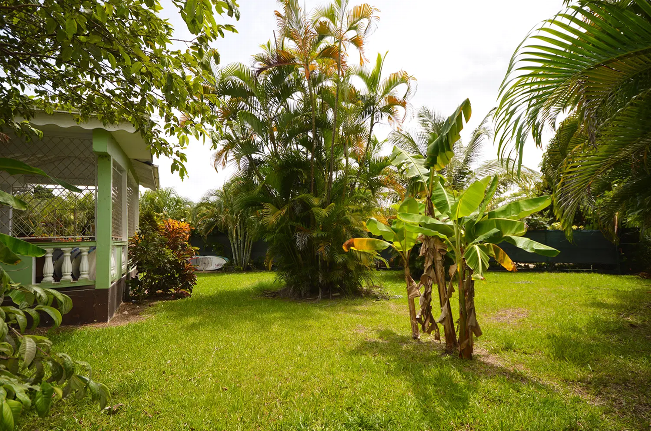 Mullins Terrace 20 | property listing page UK gallery image 9
