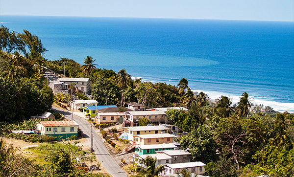 coastal village with colorful houses overlooking the sea surrounded by lush greenery and palm trees capturing twelve distinct elements of nature and architecture