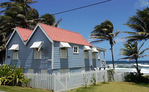 a blue beach house with a red roof surrounded by palm trees and a white picket fence near the ocean featuring three visible windows and lush green plants